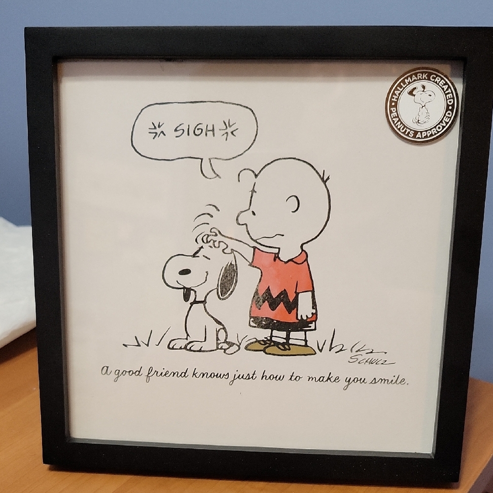 Hallmark Peanuts Framed Art